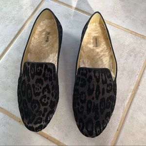 Birdies | Starling | Black Leopard